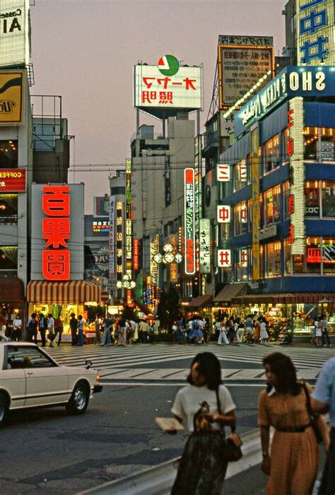 1981 年